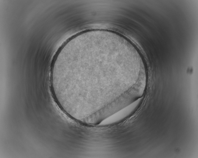 X0000114670992200911181203