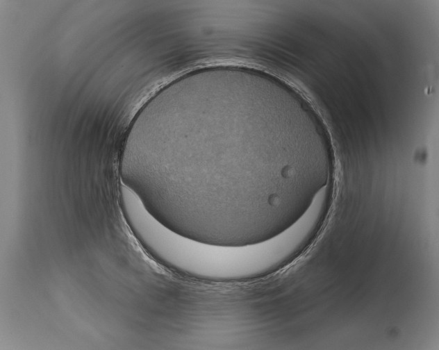 X0000114670993200911181203