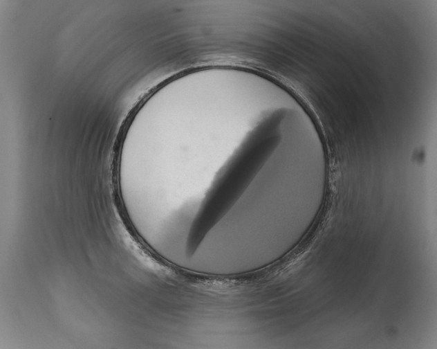 X0000114670995200911181203