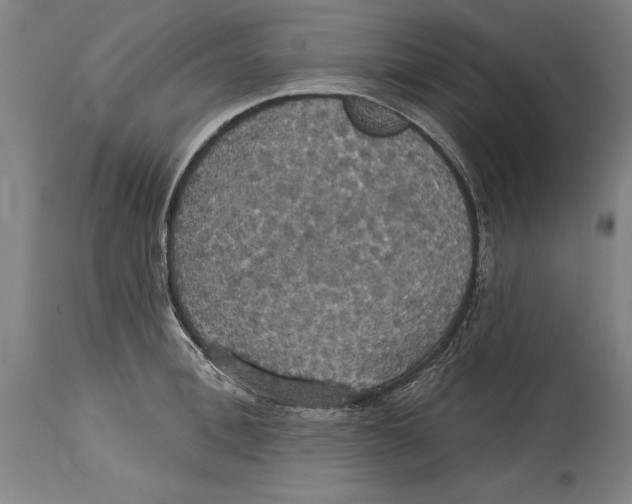 X0000114670996200911181203