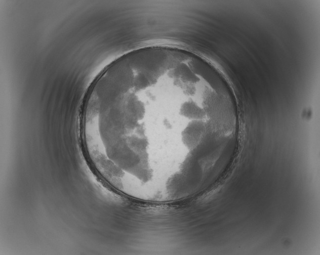 X0000114670999200911181203