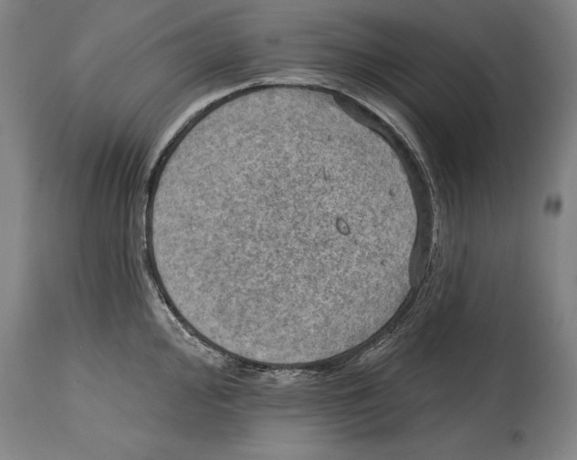 X0000114671000200911181203