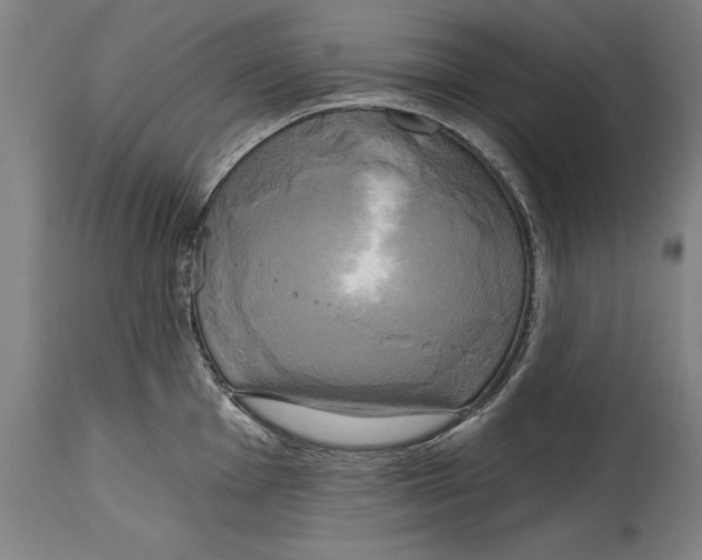 X0000114671001200911181203