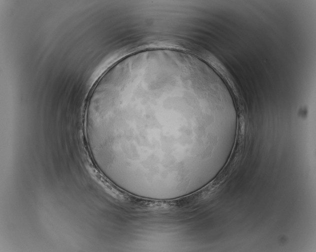 X0000114671002200911181203