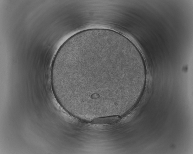 X0000114671004200911181203