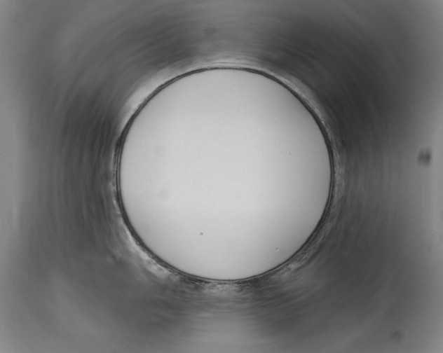 X0000114671006200911181203