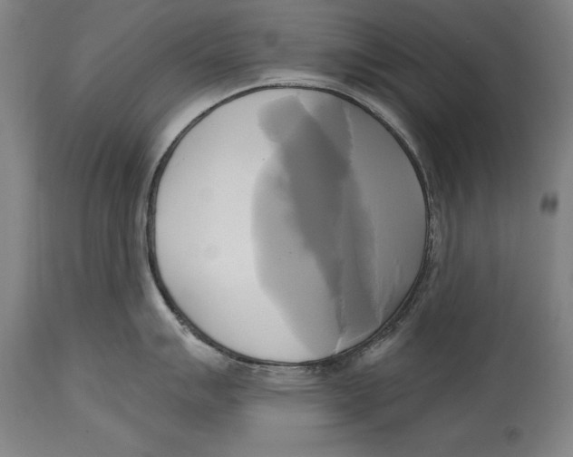 X0000114671007200911181203