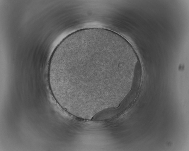 X0000114671008200911181203