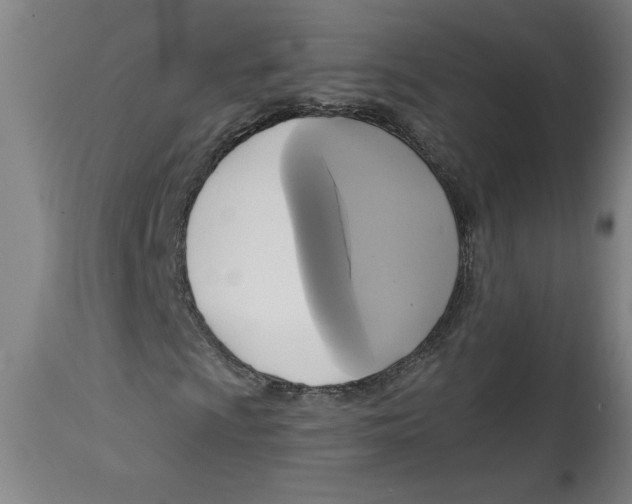 X0000114671009200911181202