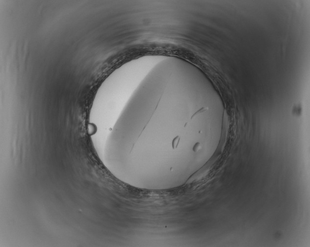 X0000114671013200911181202