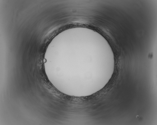 X0000114671015200911181202