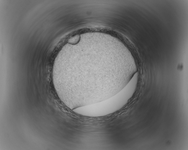 X0000114671016200911181202