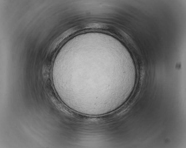 X0000114671017200911181202