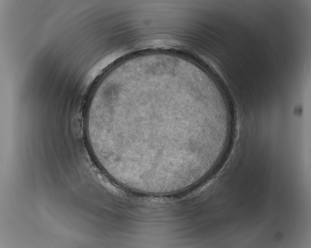 X0000114671018200911181202