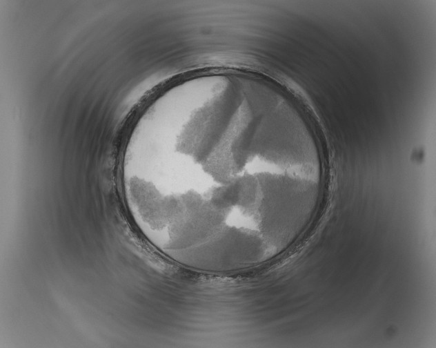 X0000114671019200911181202