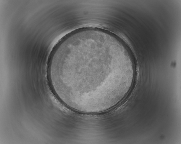 X0000114671020200911181202