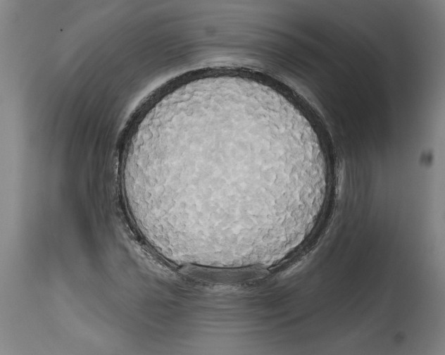 X0000114671021200911181202