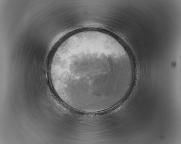 X0000114671022200911181202