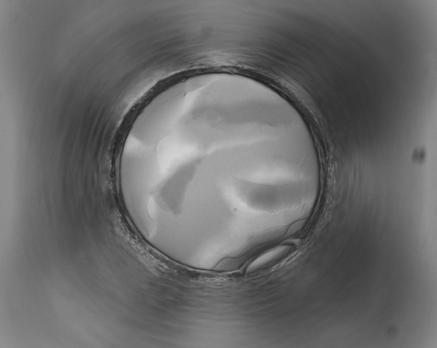 X0000114671023200911181202