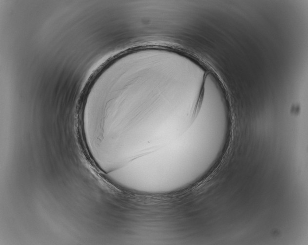 X0000114671024200911181202