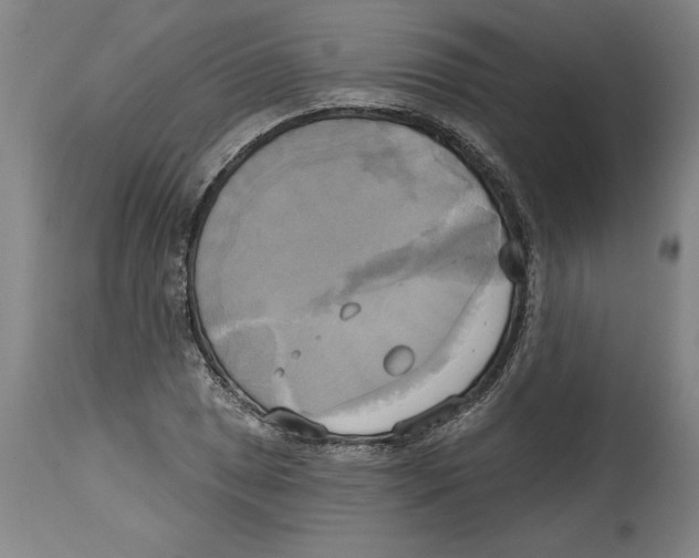 X0000114671025200911181202