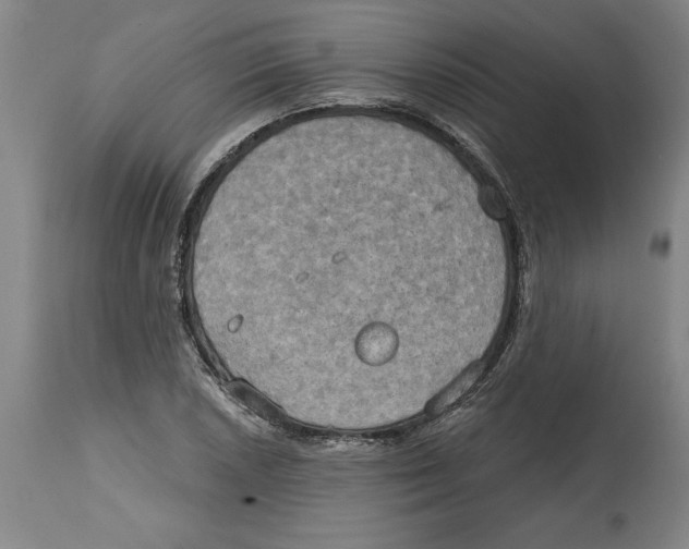 X0000114671026200911181202