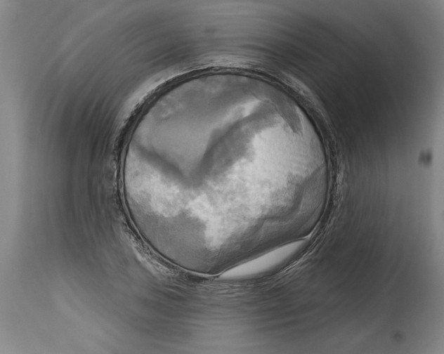 X0000114671027200911181202