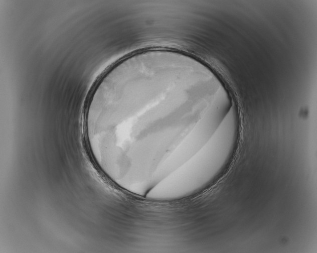 X0000114671028200911181202