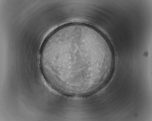 X0000114671029200911181202