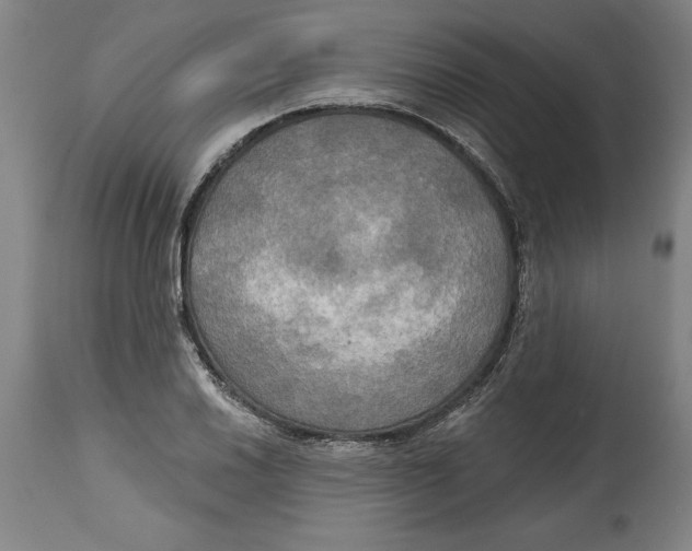 X0000114671030200911181202