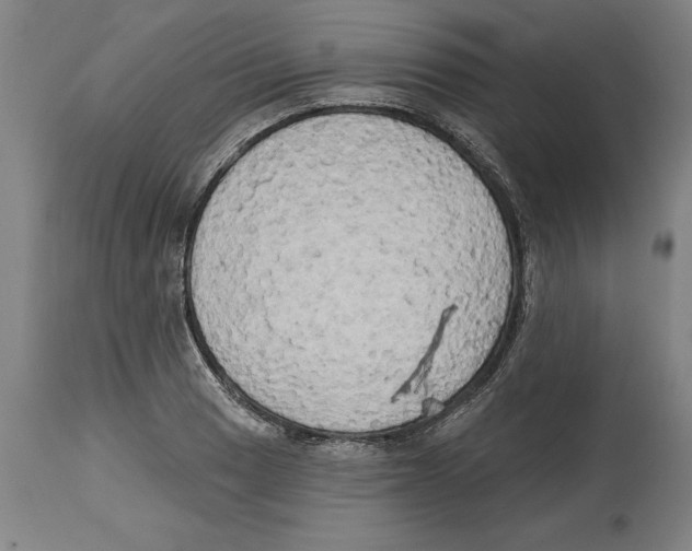 X0000114671033200911181202