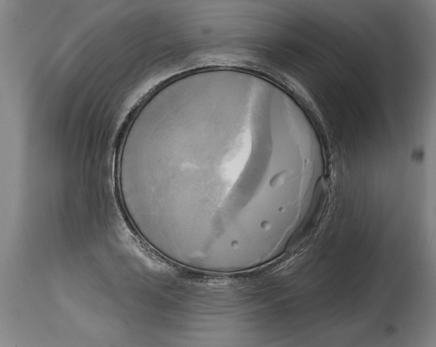 X0000114671035200911181202