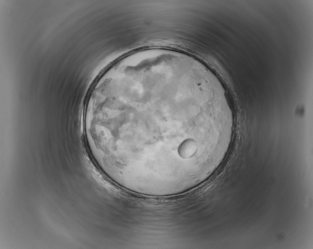 X0000114671036200911181202