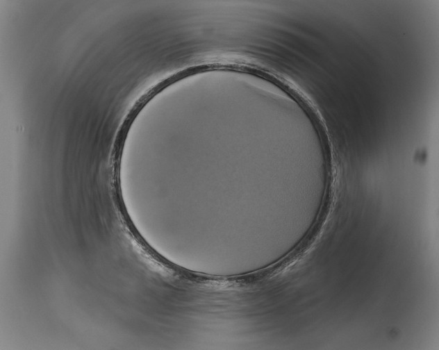 X0000114671037200911181202