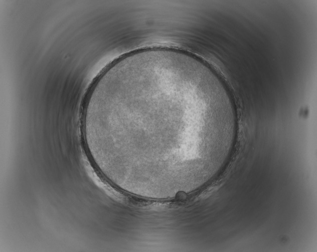 X0000114671038200911181202