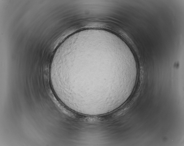 X0000114671041200911181202