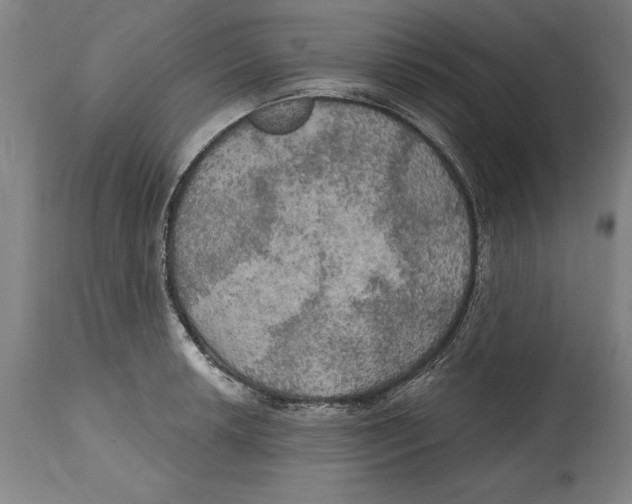 X0000114671042200911181202