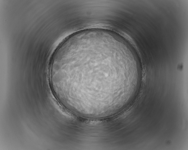 X0000114671043200911181202