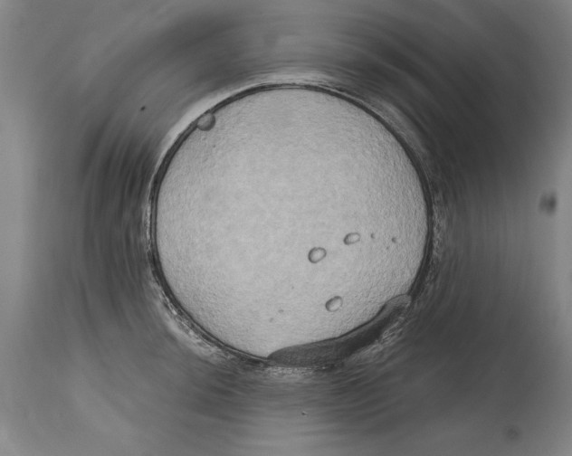 X0000114671044200911181202