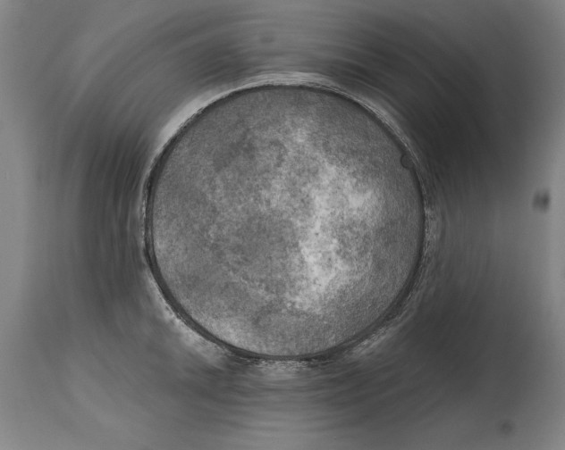 X0000114671046200911181202