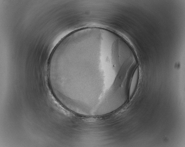 X0000114671048200911181202