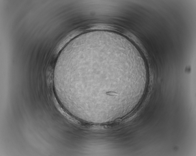 X0000114671049200911181202