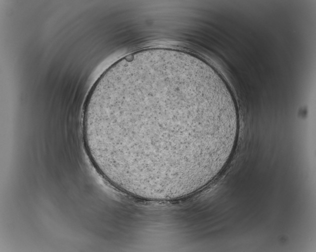 X0000114671050200911181202