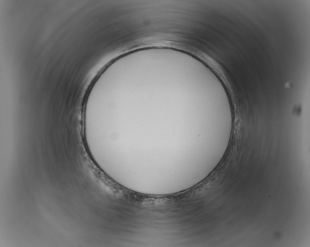 X0000114671051200911181202