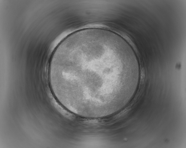 X0000114671054200911181203