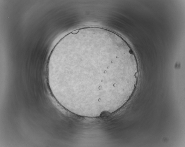 X0000114671056200911181203