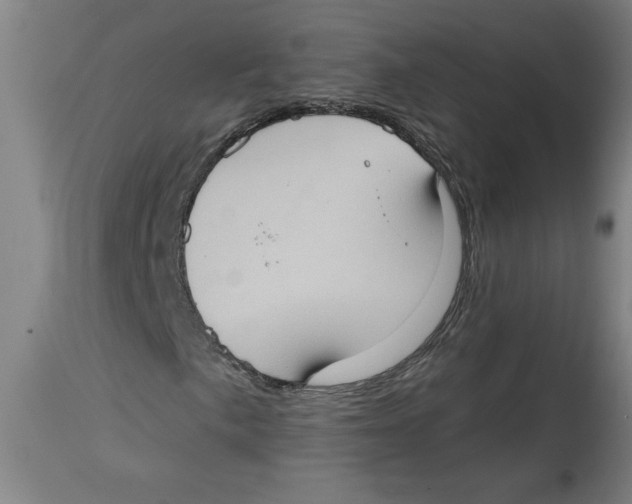 X0000114671057200911181202