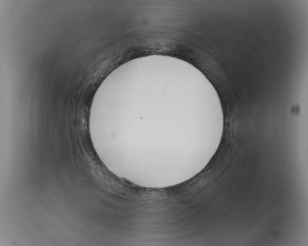 X0000114671058200911181202