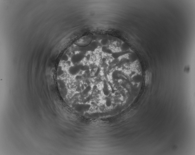 X0000114671059200911181202