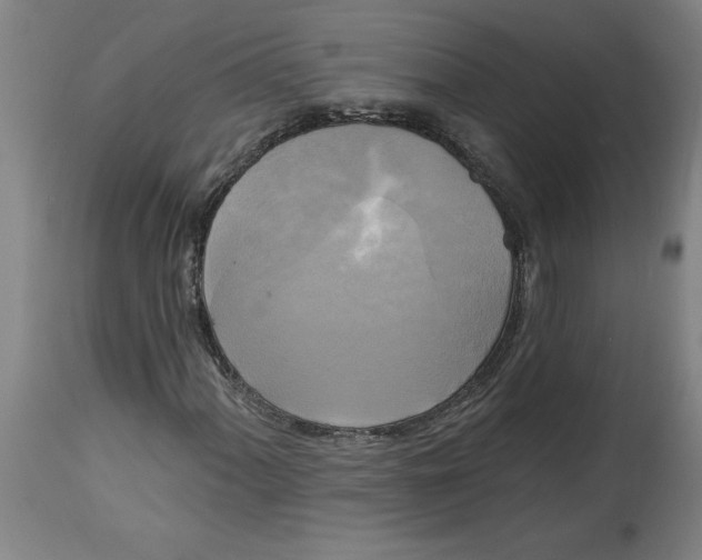 X0000114671060200911181202